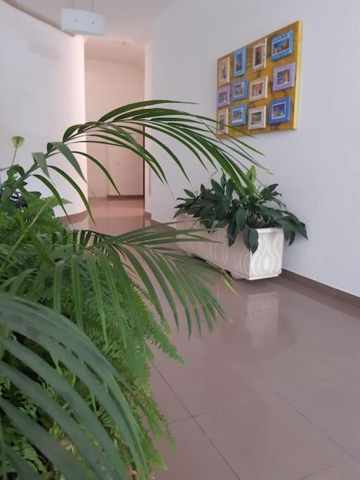 Apartamento Batalha - Quarteira, Algarve, Portugal Екстериор снимка